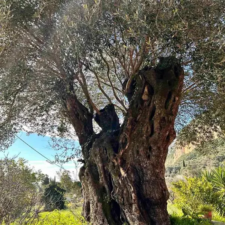 Spiros Holidays House